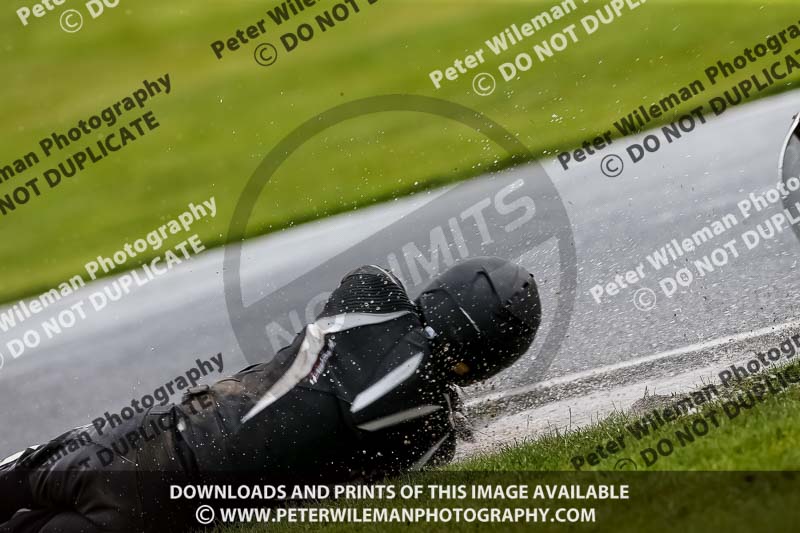 PJ Motorsport 2019;anglesey;brands hatch;cadwell park;croft;donington park;enduro digital images;event digital images;eventdigitalimages;mallory;no limits;oulton park;peter wileman photography;racing digital images;silverstone;snetterton;trackday digital images;trackday photos;vmcc banbury run;welsh 2 day enduro